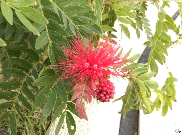 雙色拼接年輕風格 超值八核HTC Desire 820