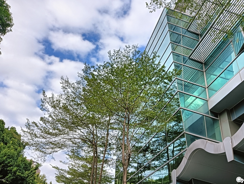 OPPO A79 5G 攝錄體驗 - 林蔭