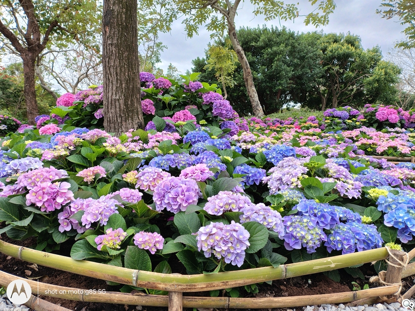 相機體驗 - 日間_1