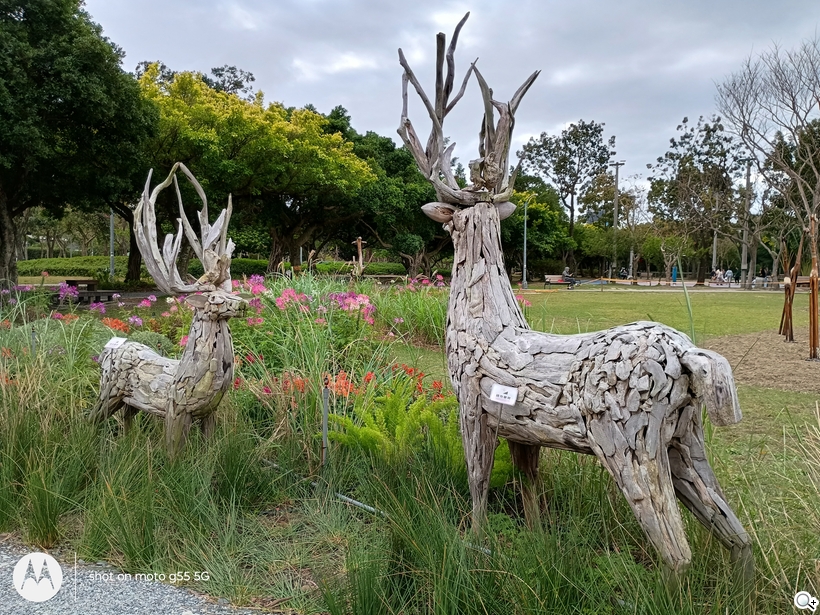 相機體驗 - 日間_2