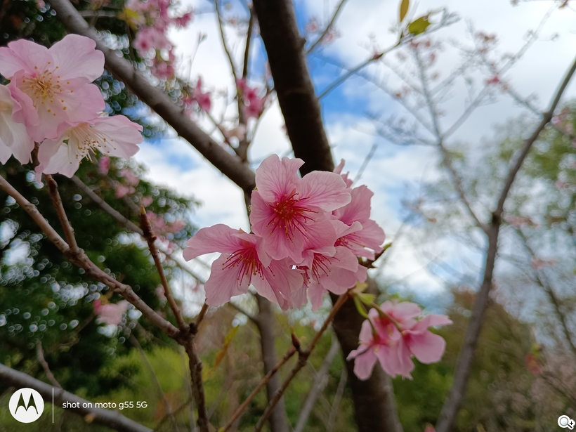 相機體驗 - 日間_1