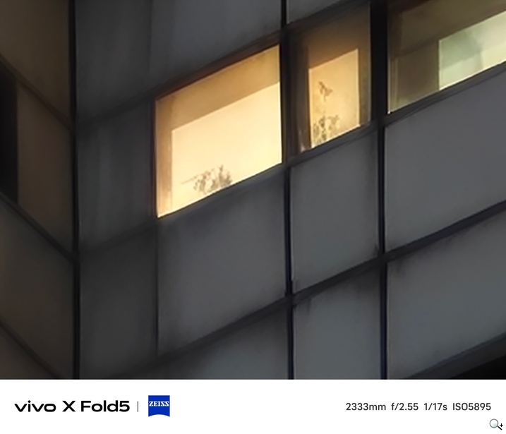 相機實測 - 100x