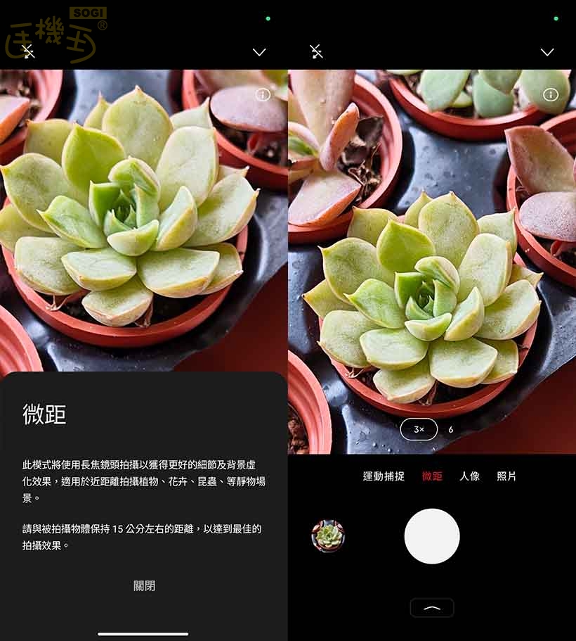 Nothing Phone (3) 攝錄體驗 - 微距攝影
