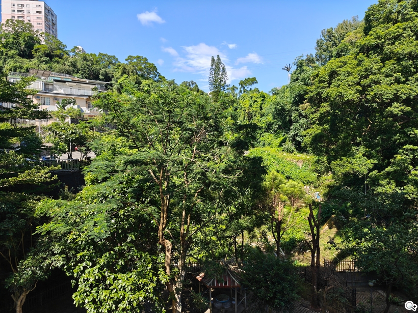 Nothing Phone (3) 攝錄體驗 - 1X