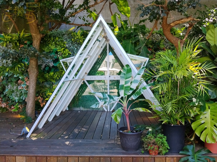 POCO M7 攝錄體驗 - 造景