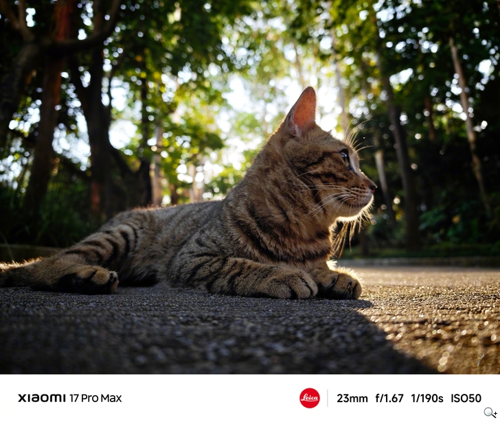 Xiaomi 17 Pro Max實拍-2