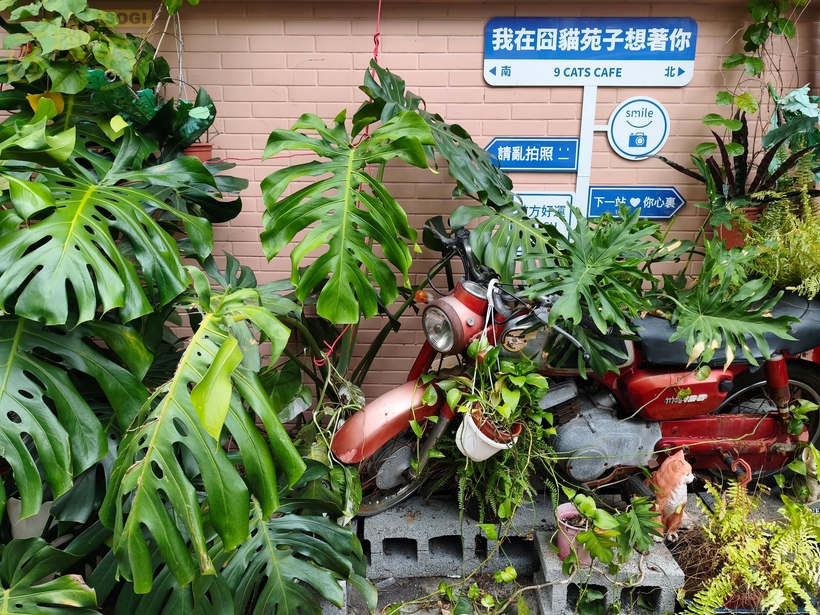 Xiaomi 15T Pro 攝錄體驗 - 造景