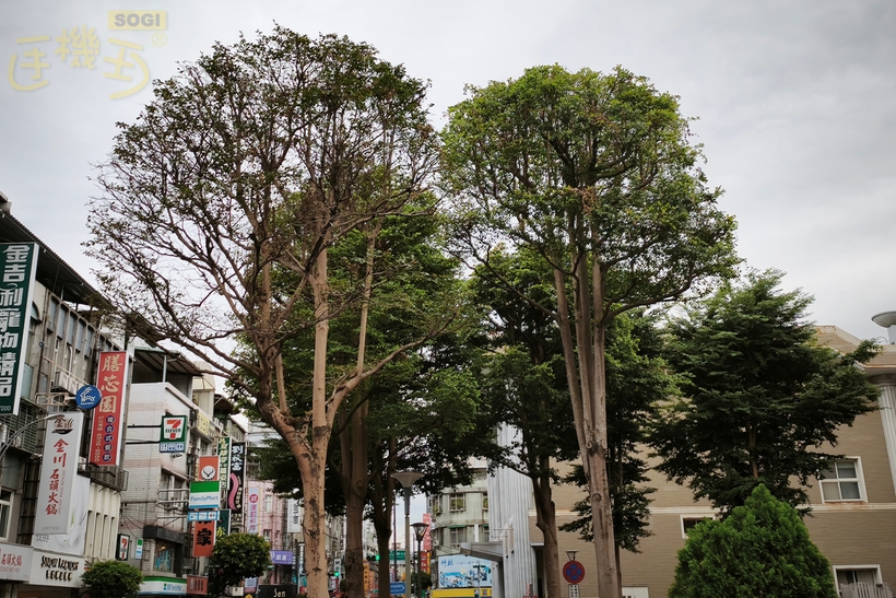 Xiaomi 15T Pro 攝錄體驗 - 35mm