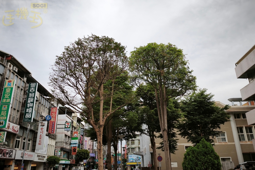 Xiaomi 15T Pro 攝錄體驗 - 28mm