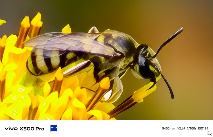 vivo X300 Pro 外掛增距鏡體驗 - 5400mm