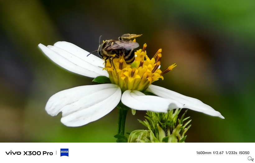 vivo X300 Pro 外掛增距鏡體驗 - 1600mm