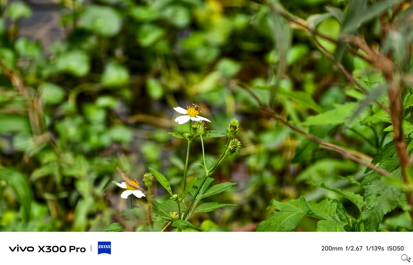 vivo X300 Pro 外掛增距鏡體驗 - 200mm