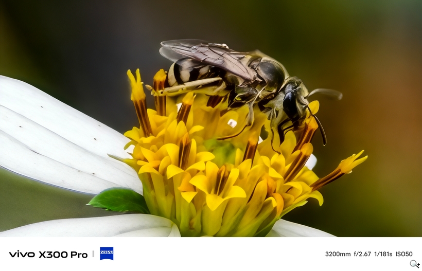 vivo X300 Pro 外掛增距鏡體驗 - 3200mm