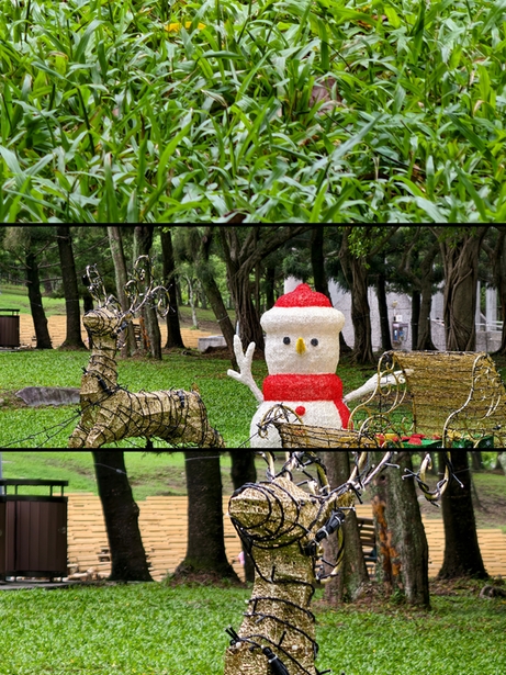 相機介紹 - 電影感三拼