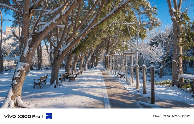 相機介紹 - 地域-雪鄉