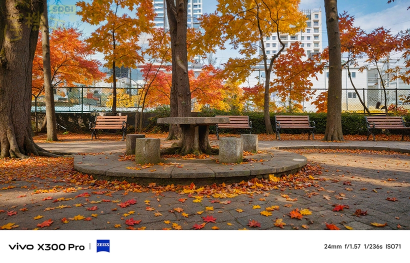 相機介紹 - 金秋