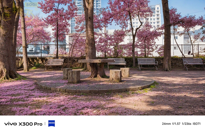 相機介紹 - 四季-錦春