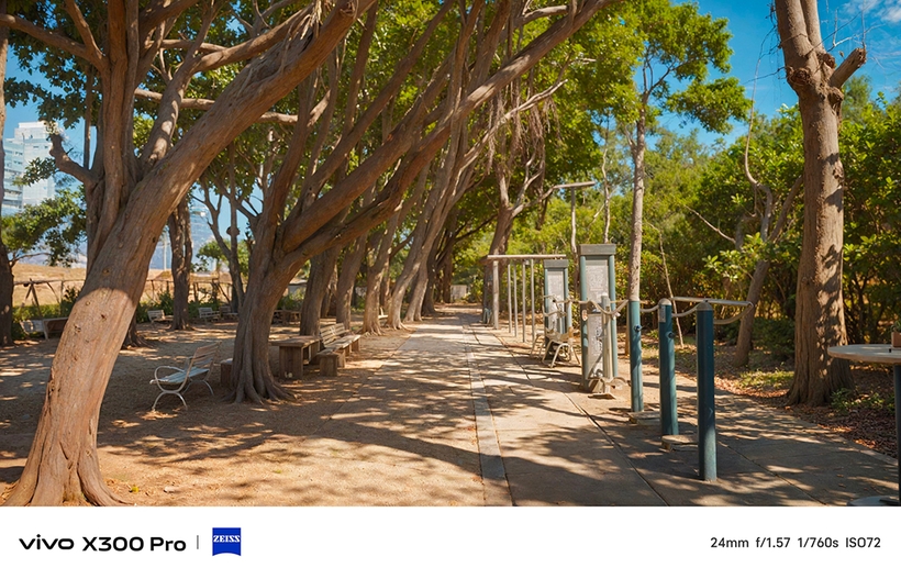 相機介紹 - 沙漠