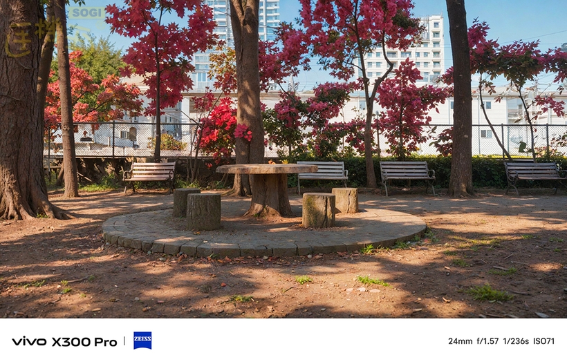 相機介紹 - 絢夏