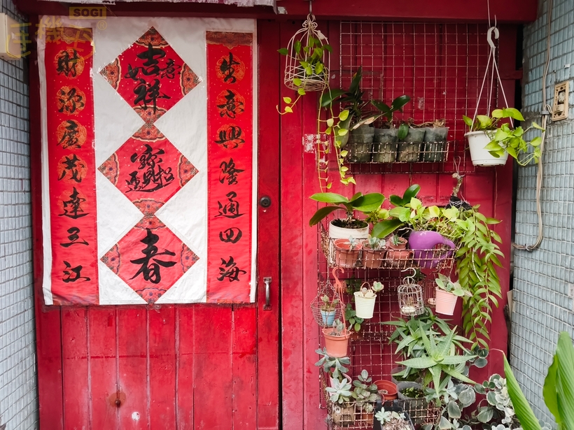 Xiaomi Pad Mini 攝錄體驗 - 門