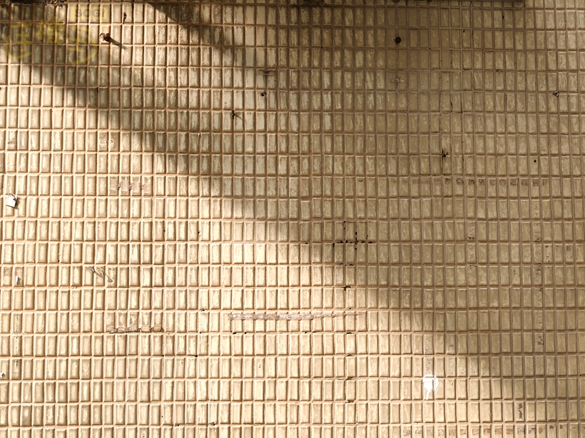 OPPO Find X9 Pro 攝錄體驗 - 暖調閃光