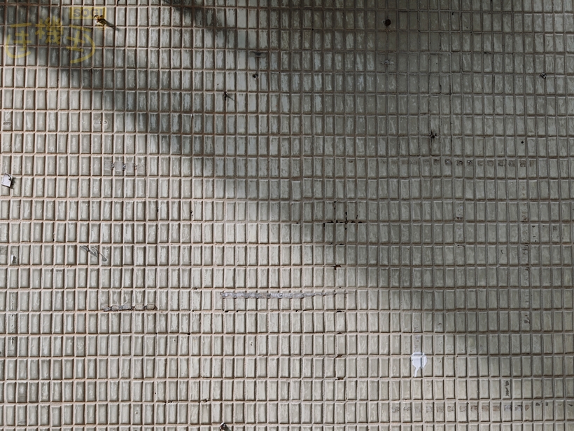 OPPO Find X9 Pro 攝錄體驗 - 通透