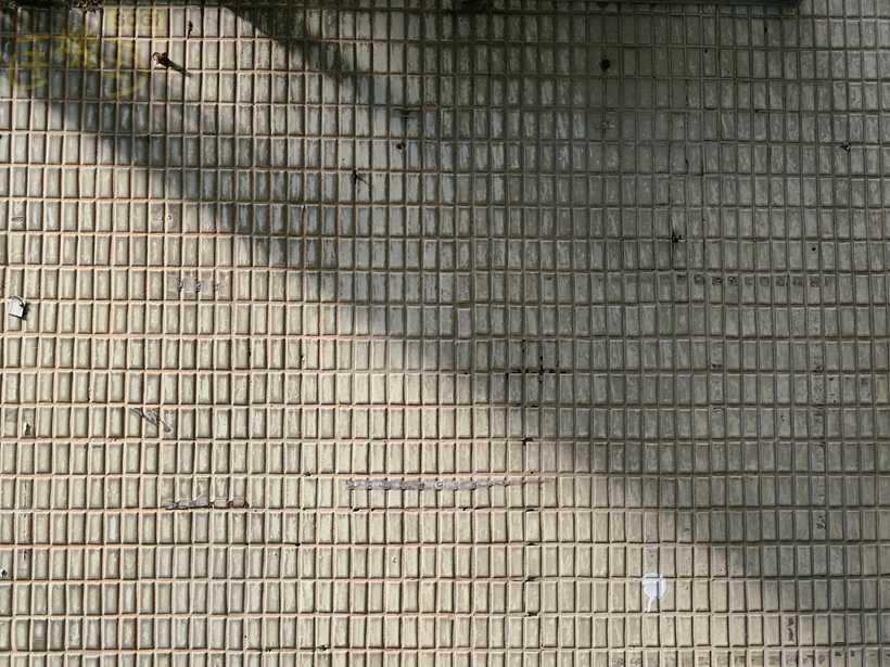 OPPO Find X9 Pro 攝錄體驗 - 霓虹