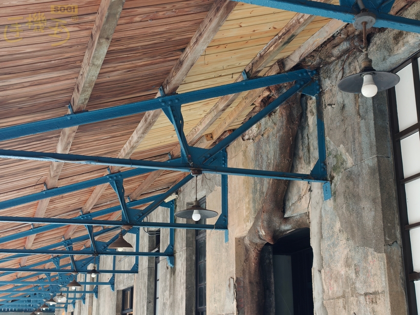 OPPO Find X9 Pro 攝錄體驗 - 2X (47mm 等效)