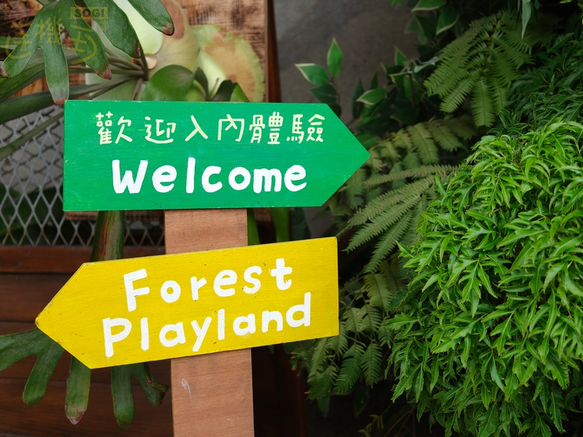 OPPO Find X9 Pro 攝錄體驗 - 3X (70mm 等效)