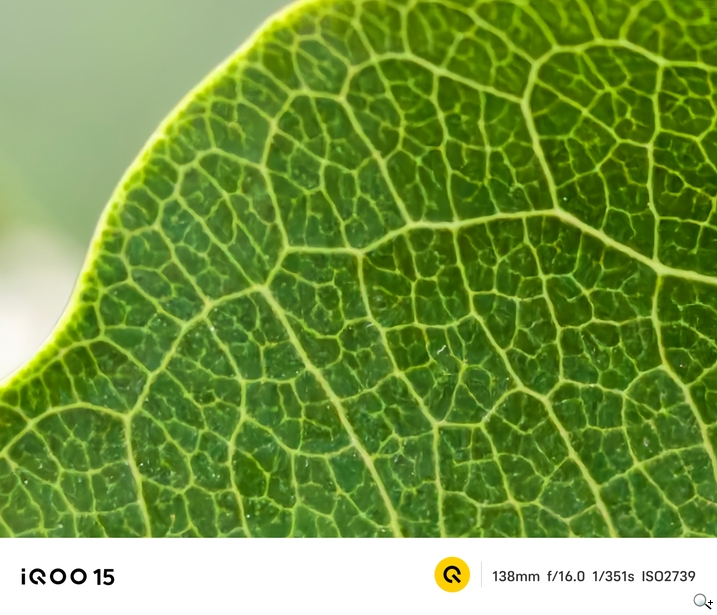 iQOO 15 相機測試 - 6x