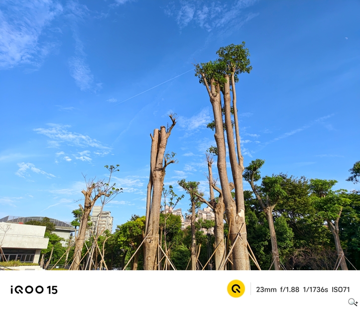 iQOO 15 相機測試 - 日拍-1