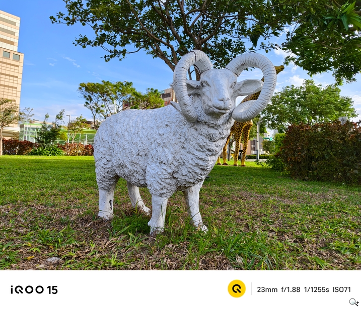 iQOO 15 相機測試 - 日拍-3