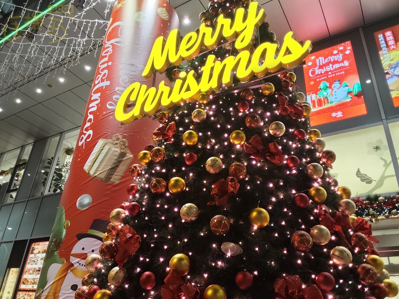 Redmi Pad 2 Pro 攝錄體驗 - 聖誕樹