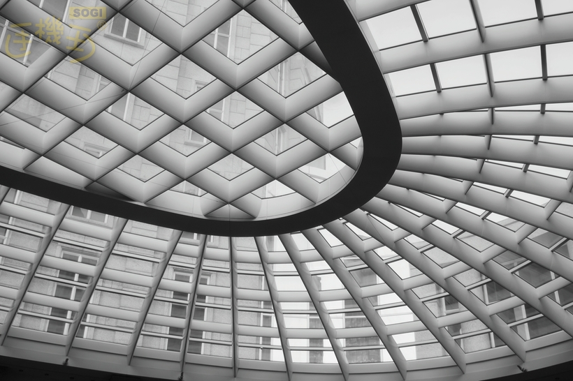 Realme GT 8 Pro 攝錄體驗 - 單色效果4