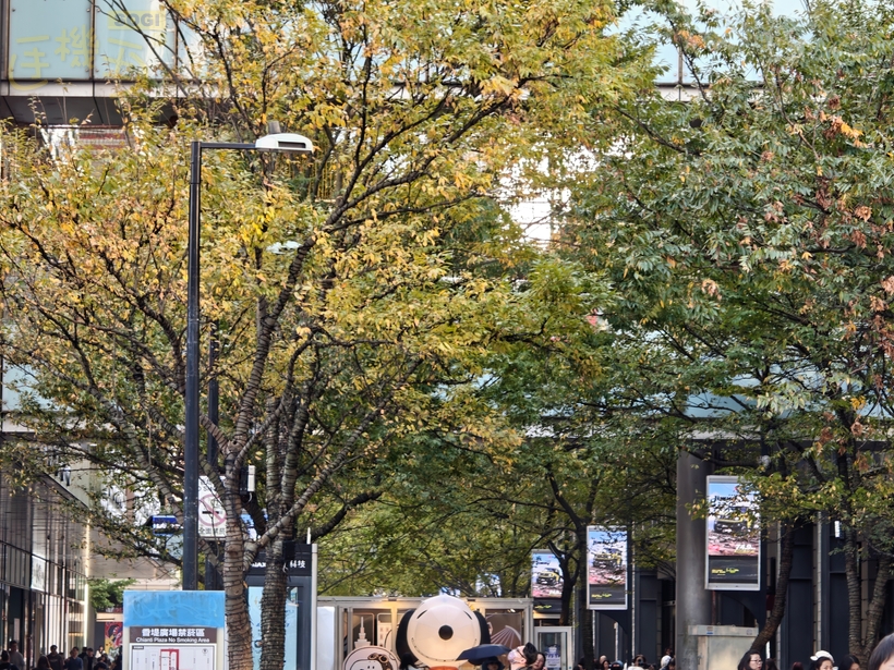 Realme GT 8 Pro 攝錄體驗 - 6X (144mm 等效)