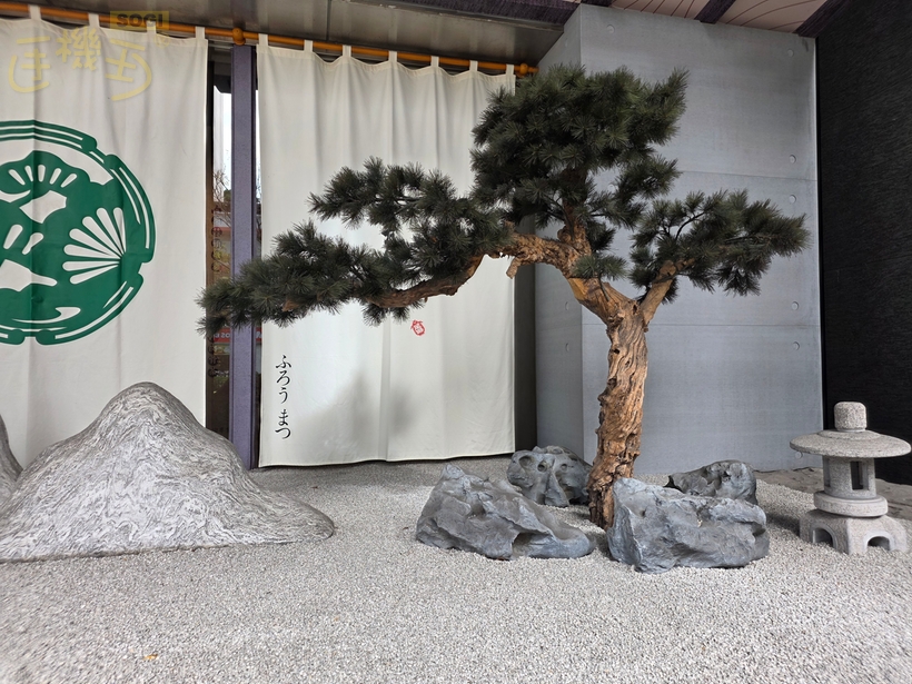 三星 Galaxy Z TriFold 攝錄體驗 - 日-2