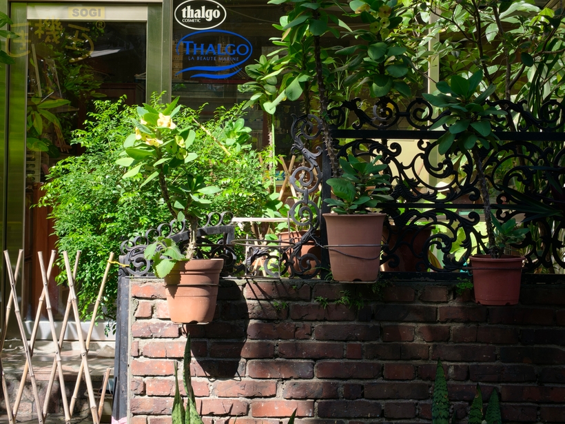 OPPO Find X9 攝錄體驗 - 3X (73mm 等效)