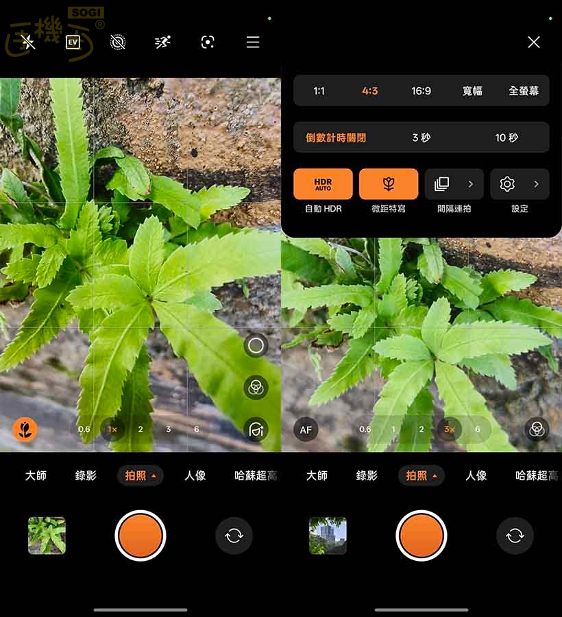 OPPO Find X9 攝錄體驗 - 微距模式