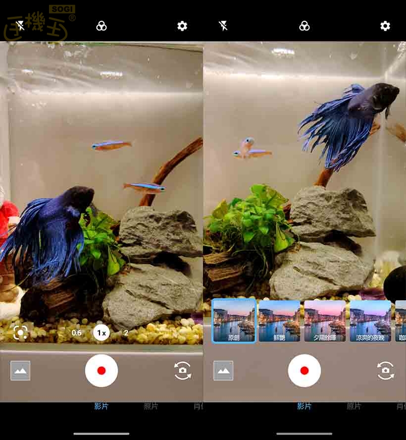 夏普 AQUOS sense10 攝錄體驗 - 錄影 UI