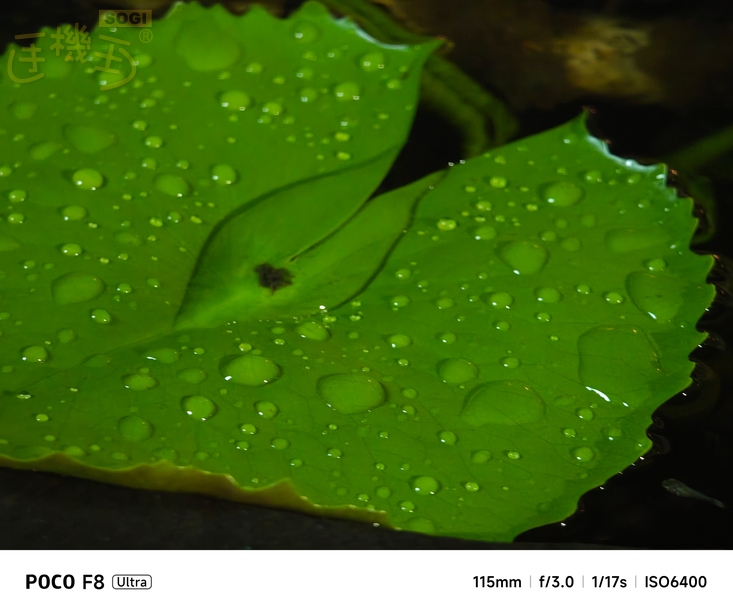 POCO F8 Ultra 攝錄體驗 - 水滴