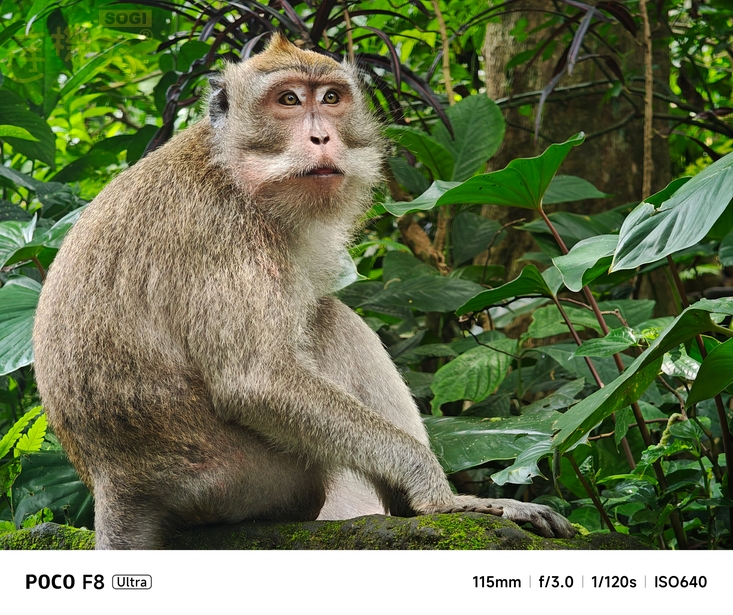 POCO F8 Ultra 攝錄體驗 - 5X