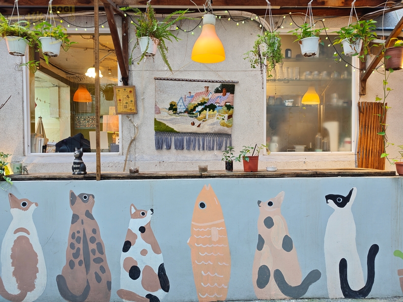 POCO F8 Ultra 攝錄體驗 - 老宅咖啡廳