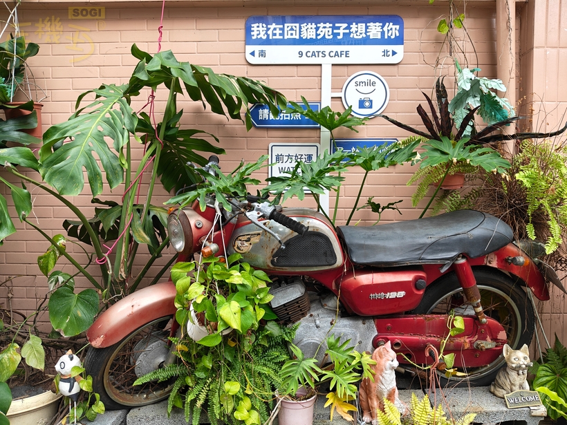 OPPO Reno15 5G 相機體驗 - 擺設