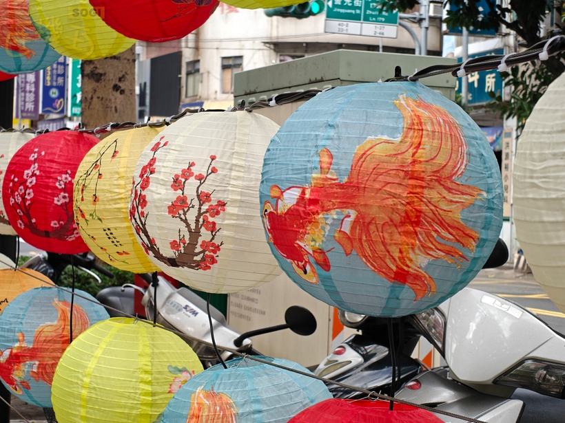 OPPO Reno15 5G 相機體驗 - 3.5X