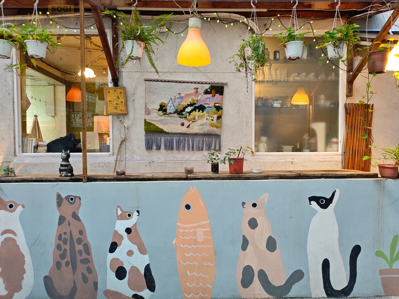 POCO F8 Pro 攝錄體驗 - 露天吧檯