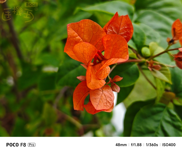 POCO F8 Pro 攝錄體驗 - 2X