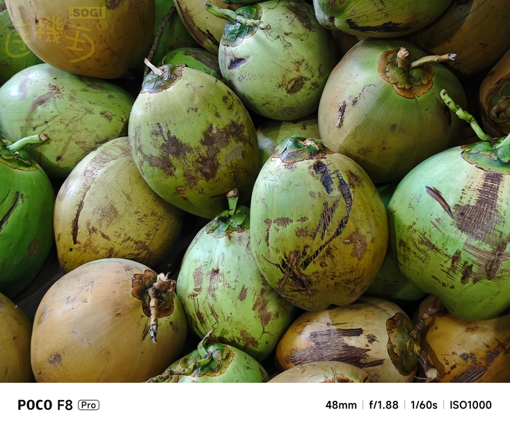 POCO F8 Pro 攝錄體驗 - 2X