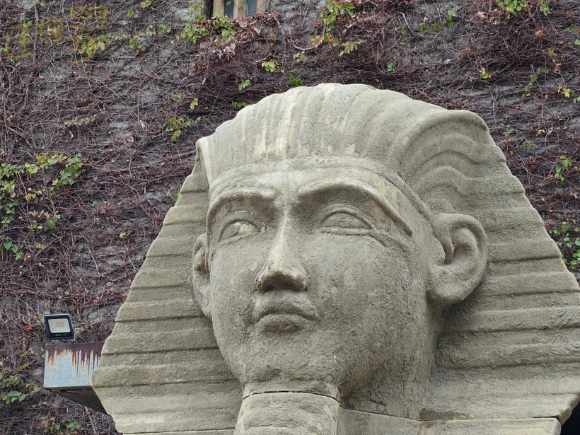 OPPO Reno15 Pro 系列攝錄體驗 - 3.5X