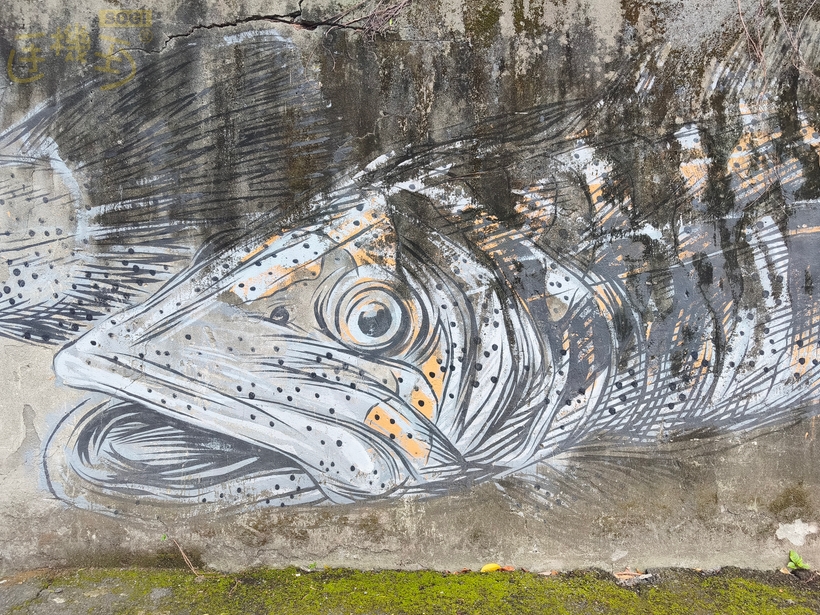 REDMI Note 15 Pro 5G 攝錄體驗 - 彩繪