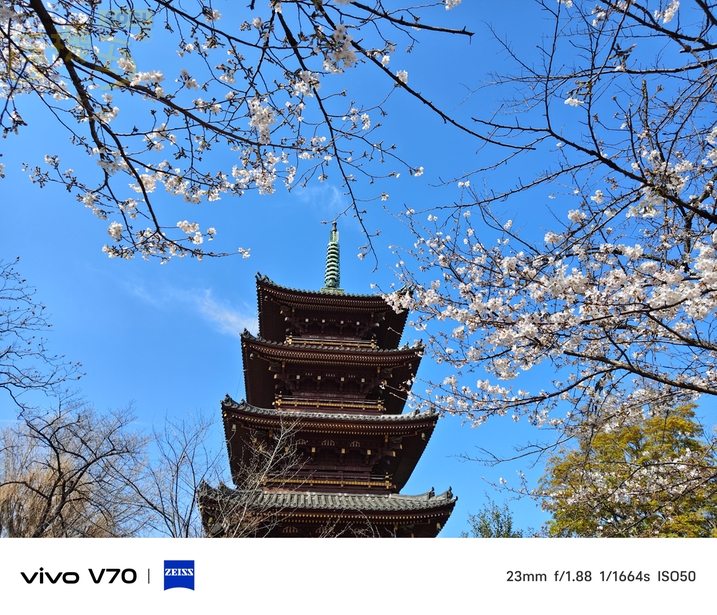 vivo V70 相機體驗 - 日拍-五重塔